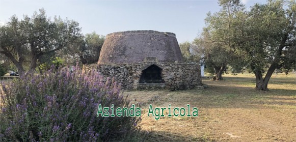 trullo nelle nostre campagne